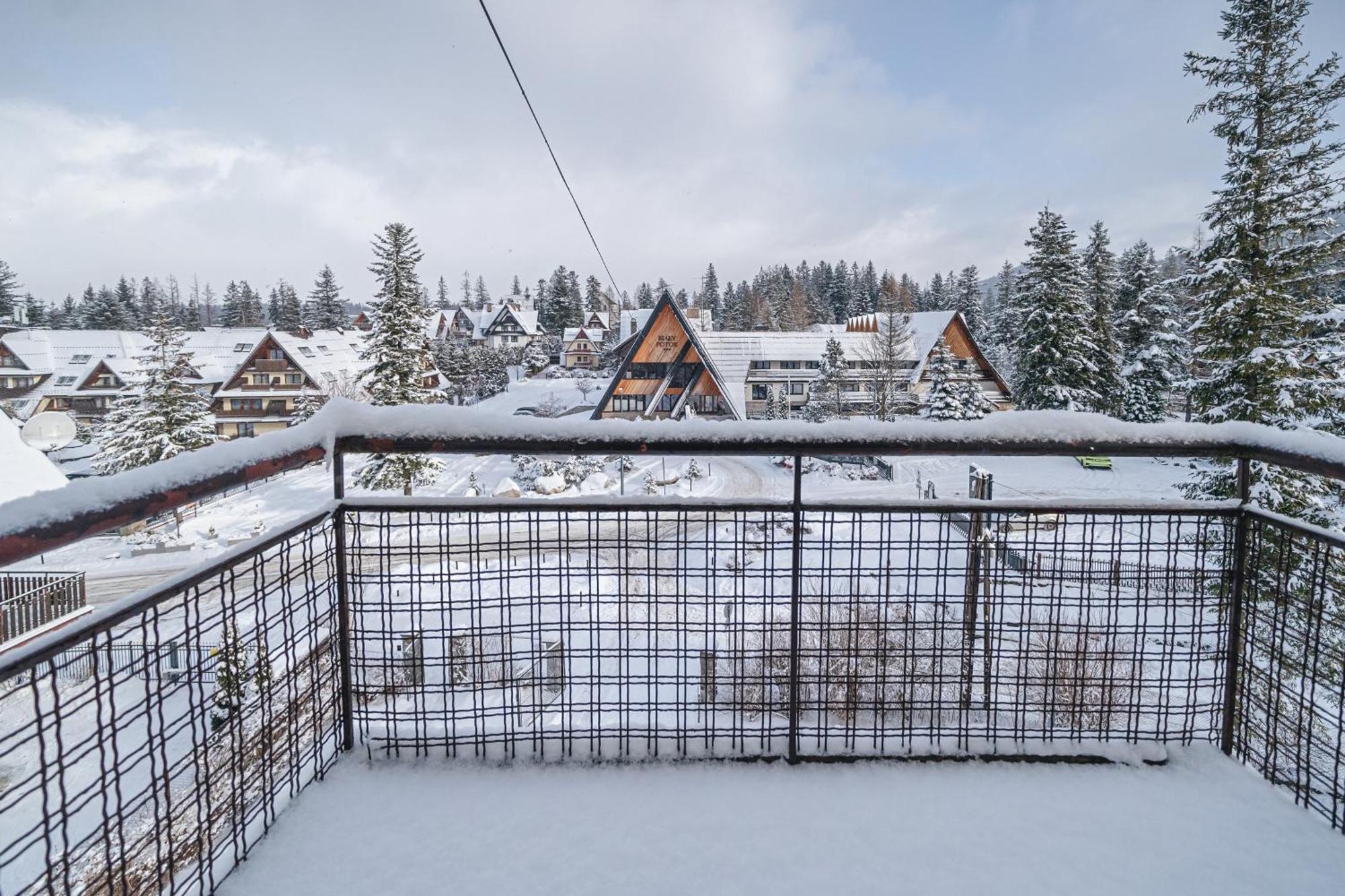 Zespol Dolina Bialego - Willa Pan Tadeusz Zakopane Extérieur photo