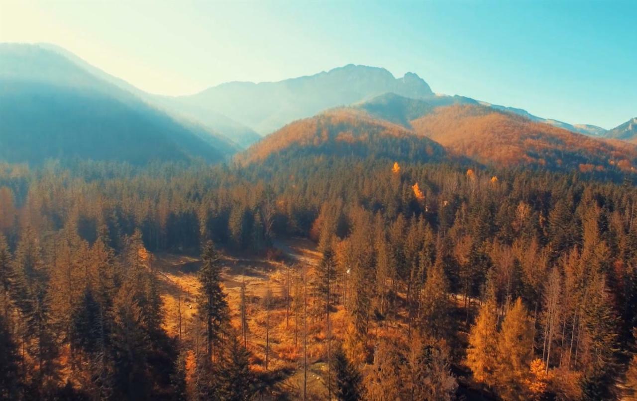 Zespol Dolina Bialego - Willa Pan Tadeusz Zakopane Extérieur photo