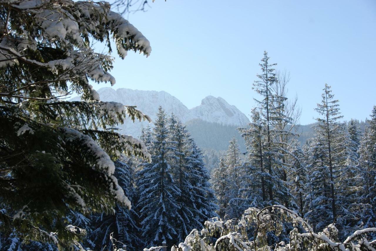 Zespol Dolina Bialego - Willa Pan Tadeusz Zakopane Extérieur photo